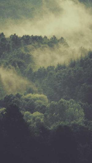 娱乐圈一线明星黑料截图1