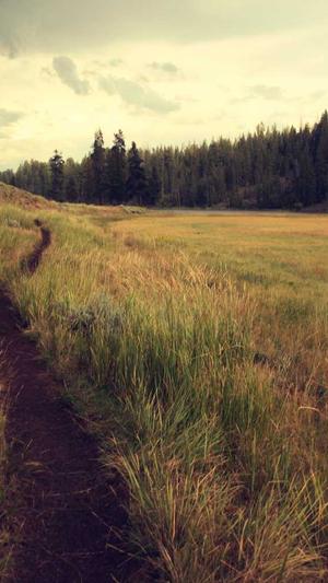 黑料正能量最新版下载截图3