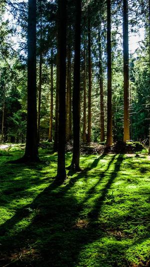 吃瓜网51cg7爆料截图1