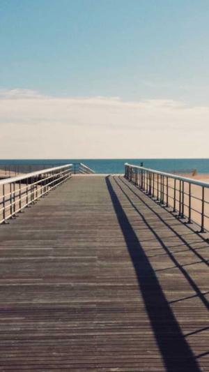 吃瓜老司机截图4