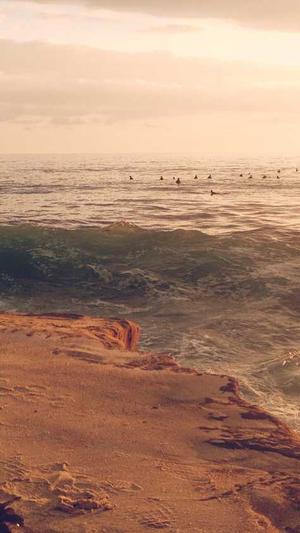 任嘉伦黑料截图2