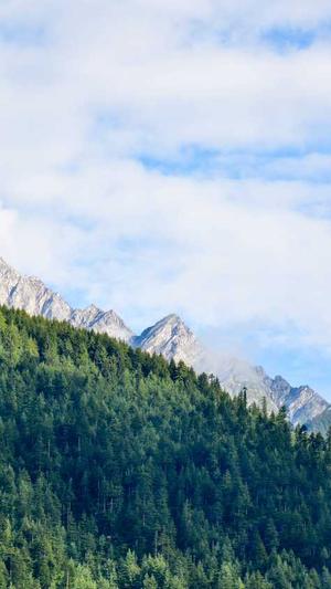 吃哈密瓜的坏处截图1