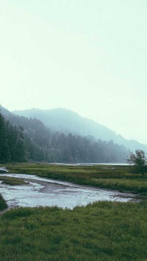 被读心后全员吃瓜吃疯了截图3