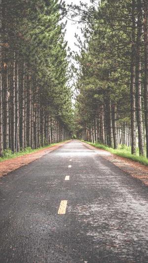 51吃瓜在线截图3