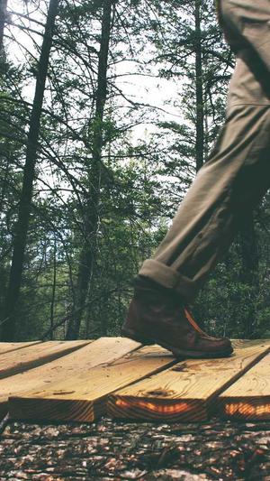 火锅炖兔仔黑料网截图3