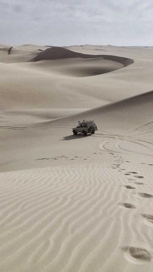 黑料不打烊万篇长征so截图1