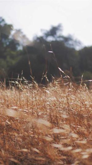 于和伟黑料截图1