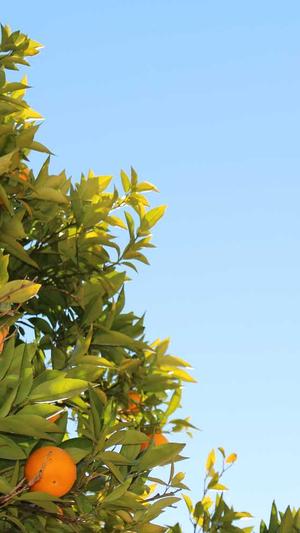 许魏洲黑料截图3