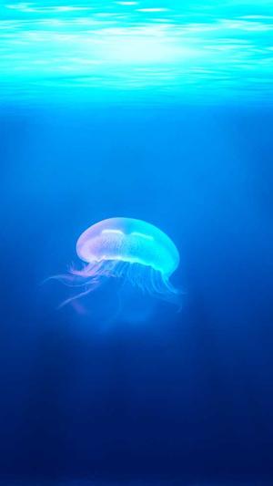 热门吃瓜事件截图4