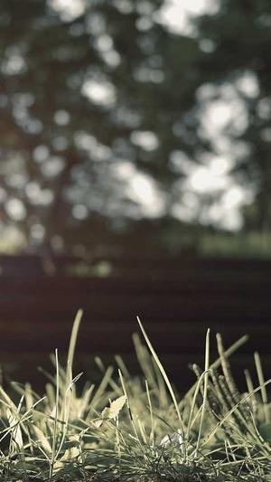 51今日吃瓜爆料截图5