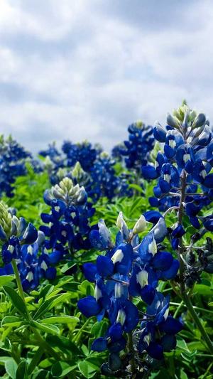 黑料正能量最新截图2