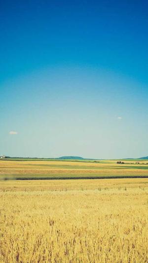 51吃瓜人人吃瓜截图3