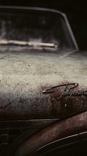 佛手瓜怎么吃最好截图2