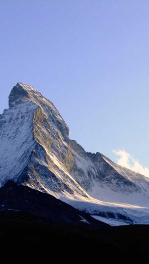 zztt11黑料不打烊截图2