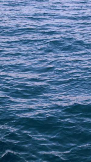 吃瓜网免费吃瓜截图1