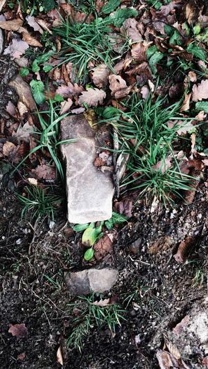 cggolive吃瓜官网截图2