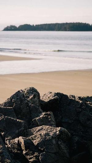 有黑料的主播截图2