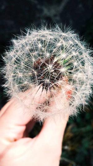 cg7冲哥黑料截图2