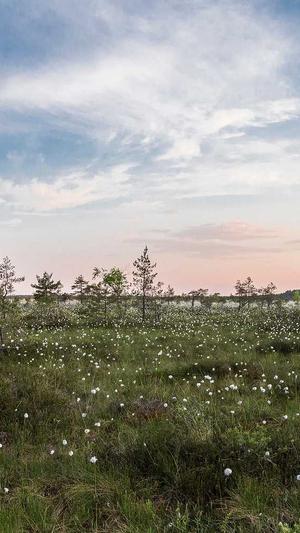 黑料不打徉截图3