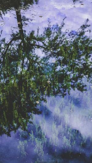 万里长征黑料不打烊06截图2