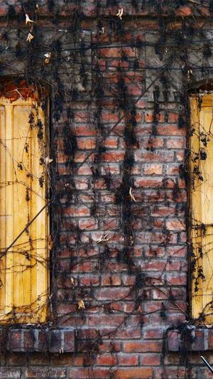 黑料网 吃瓜截图3