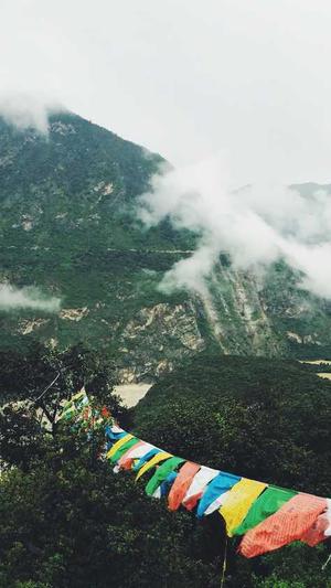 黑料网下载截图1