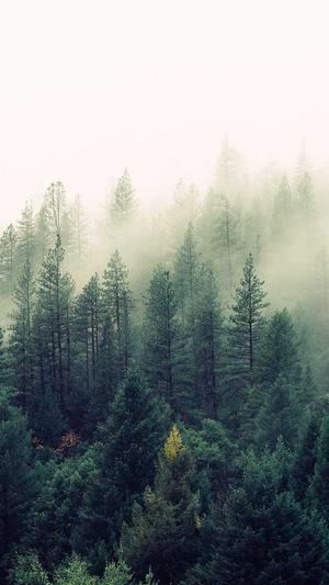 带你吃大瓜截图2