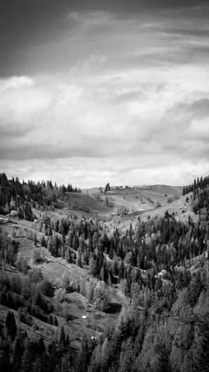 屈楚萧黑料是什么意思截图3