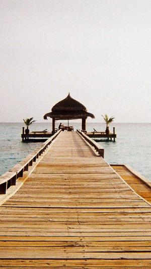 zztt黑料不打烊截图1