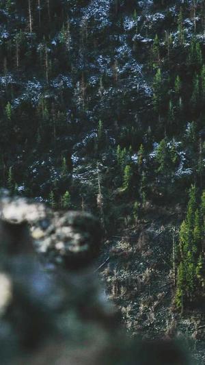 91吃瓜官网截图4