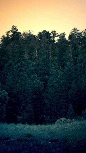 哈密瓜不能跟什么一起吃截图5