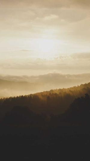 黑料正能量网址截图1