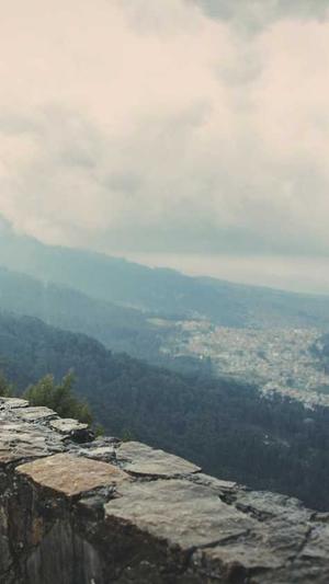 51黑料吃瓜截图3