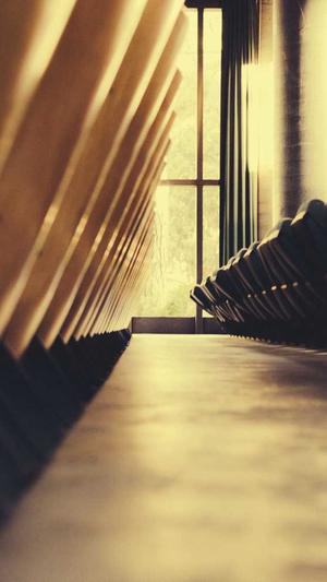 有黑料的主播截图1