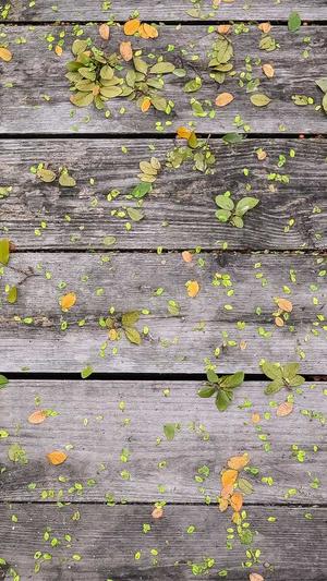 51吃瓜网在线网站截图4