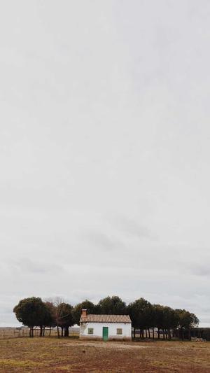 黑料老司机不打烊截图3