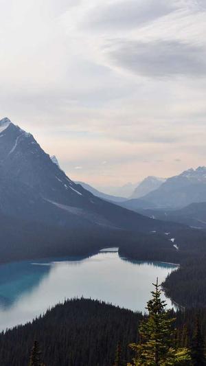 黑料正能量最新截图3