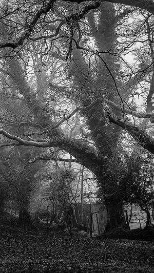 黑料不打烊,万里长征官网截图2