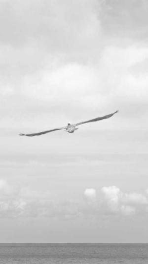 天涯论坛明星八卦黑料截图2