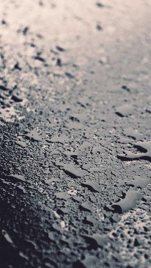 孕妇敢吃哈密瓜不截图2