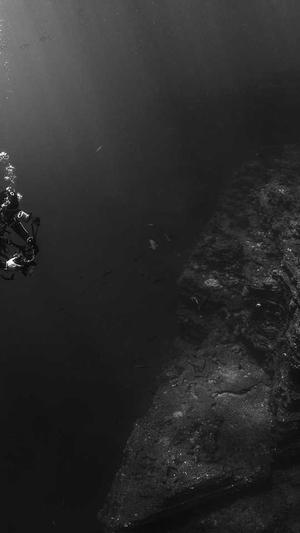 黑料不打烊看不了截图1