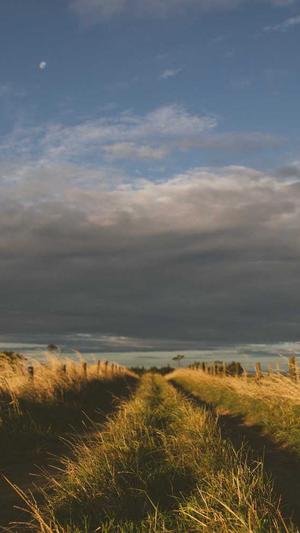 钟楚曦黑料截图2