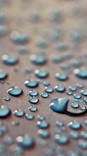 黑料不打烊668永久地址截图3