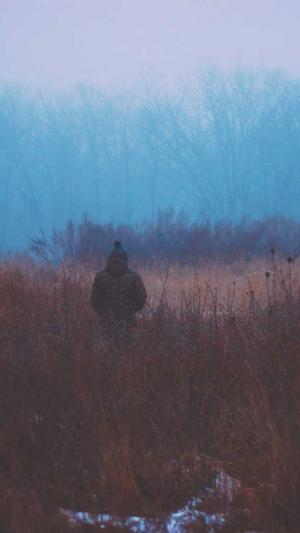 娱乐圈吃瓜截图4