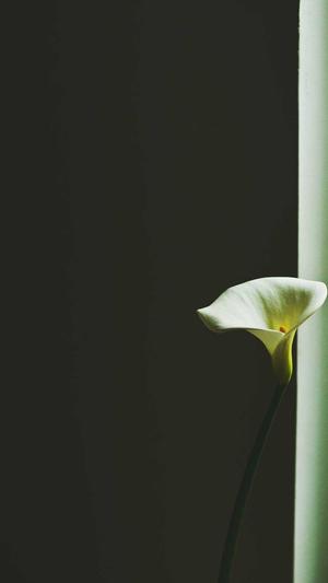 福利黑料正能量入口截图1