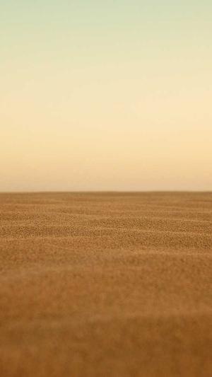 黑料不打烊网址更新app截图3