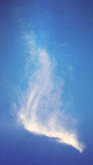 不良研究所怎么吃瓜截图5